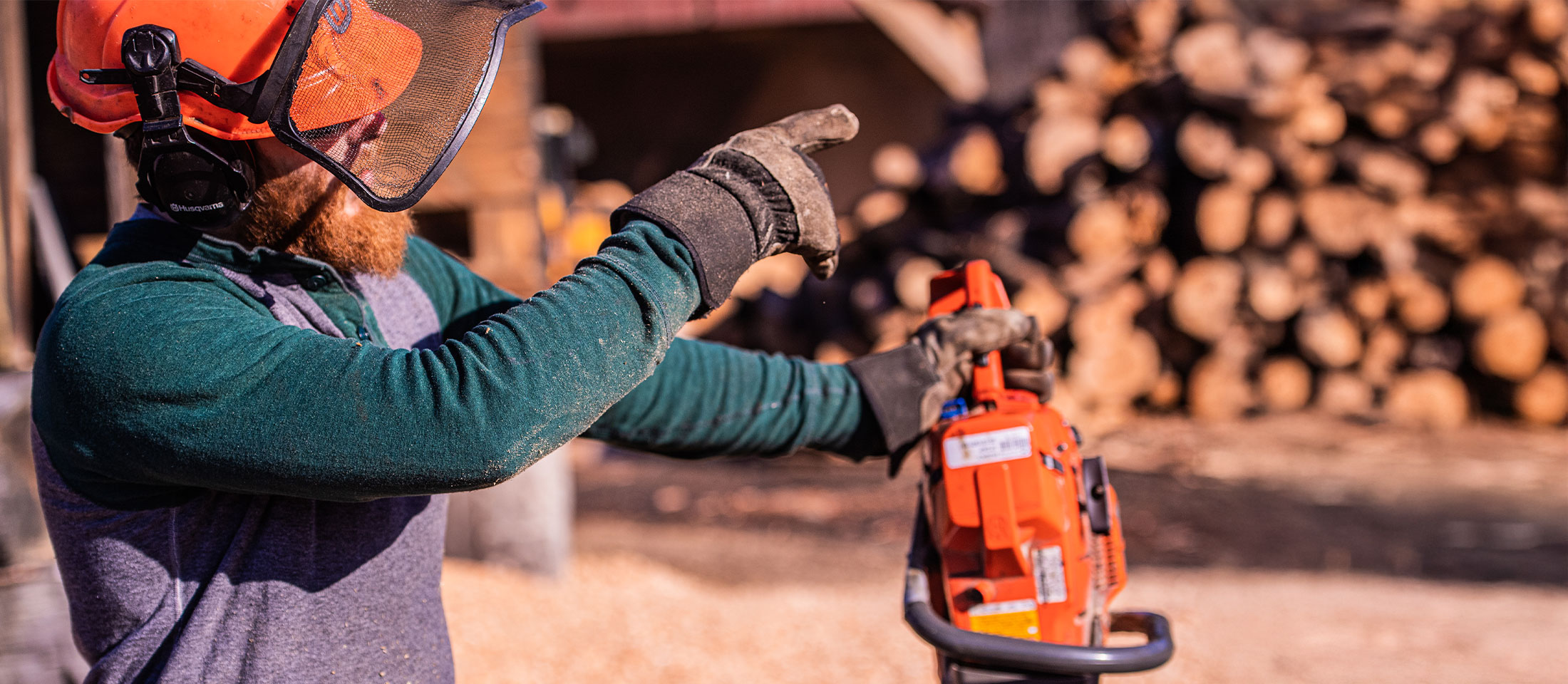 A logger carrying a wood saw and pointing towards an abundance of logs.